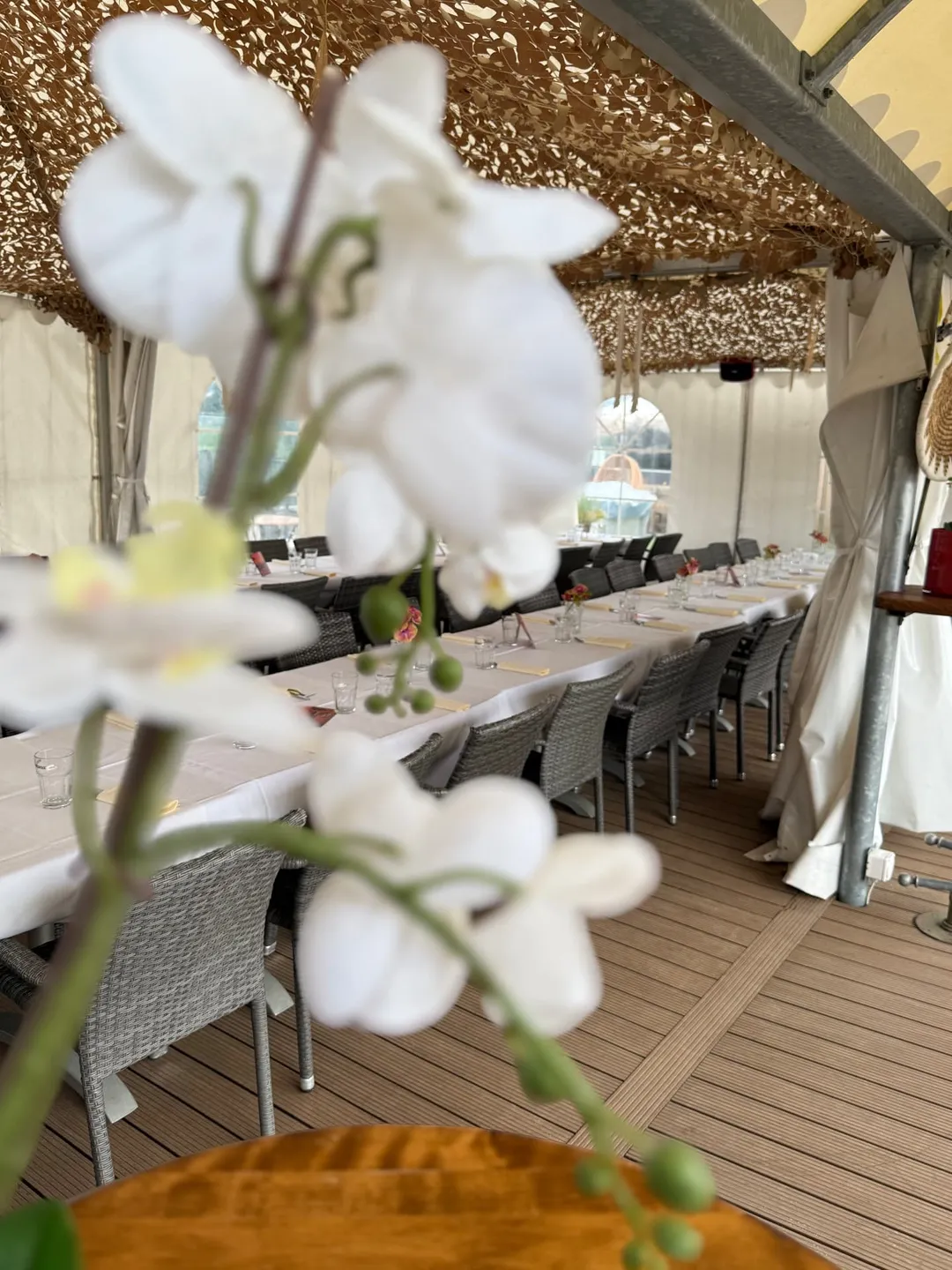 Festlich gedeckte Tafel im Eventzelt des Rooftop Aarau mit Orchideen im Vordergrund