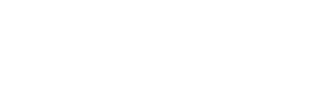 Finnofleet